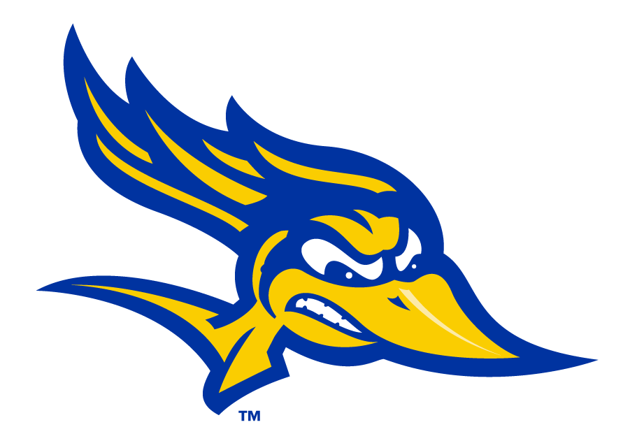 CSU Bakersfield Roadrunners 2017-2019 Primary Logo iron on transfers for clothing